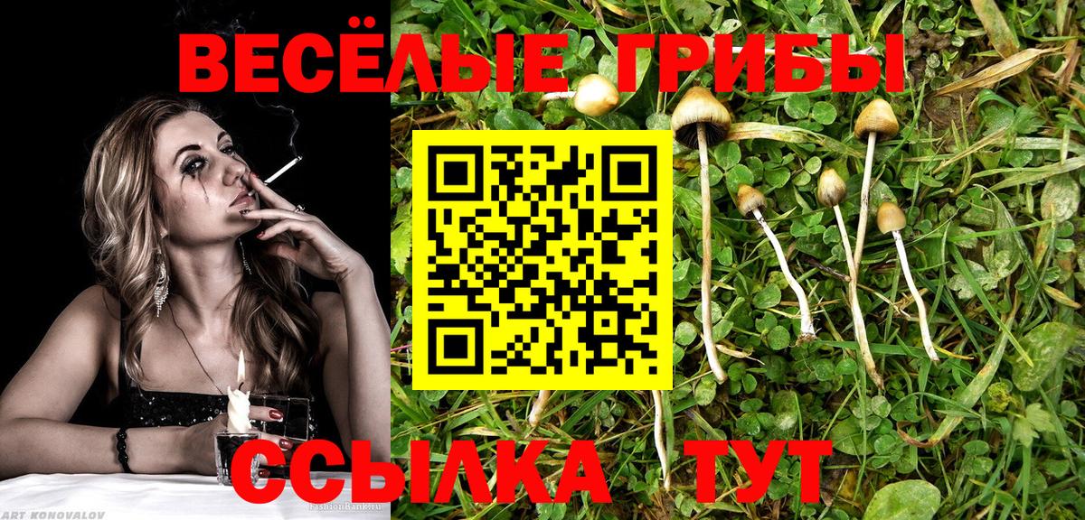 Галлюциногенные грибы MAGIC MUSHROOMS  Вход с VPN  Феодосия  Галлюциногенные грибы GOLDEN TEACHER 